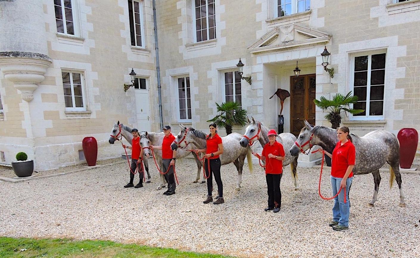 Chateau De Bellevue B&B Et Appartements Avec Piscine Saisonal Chauffee Et Chambres Partout Climatisees Saint-Avit  外观 照片
