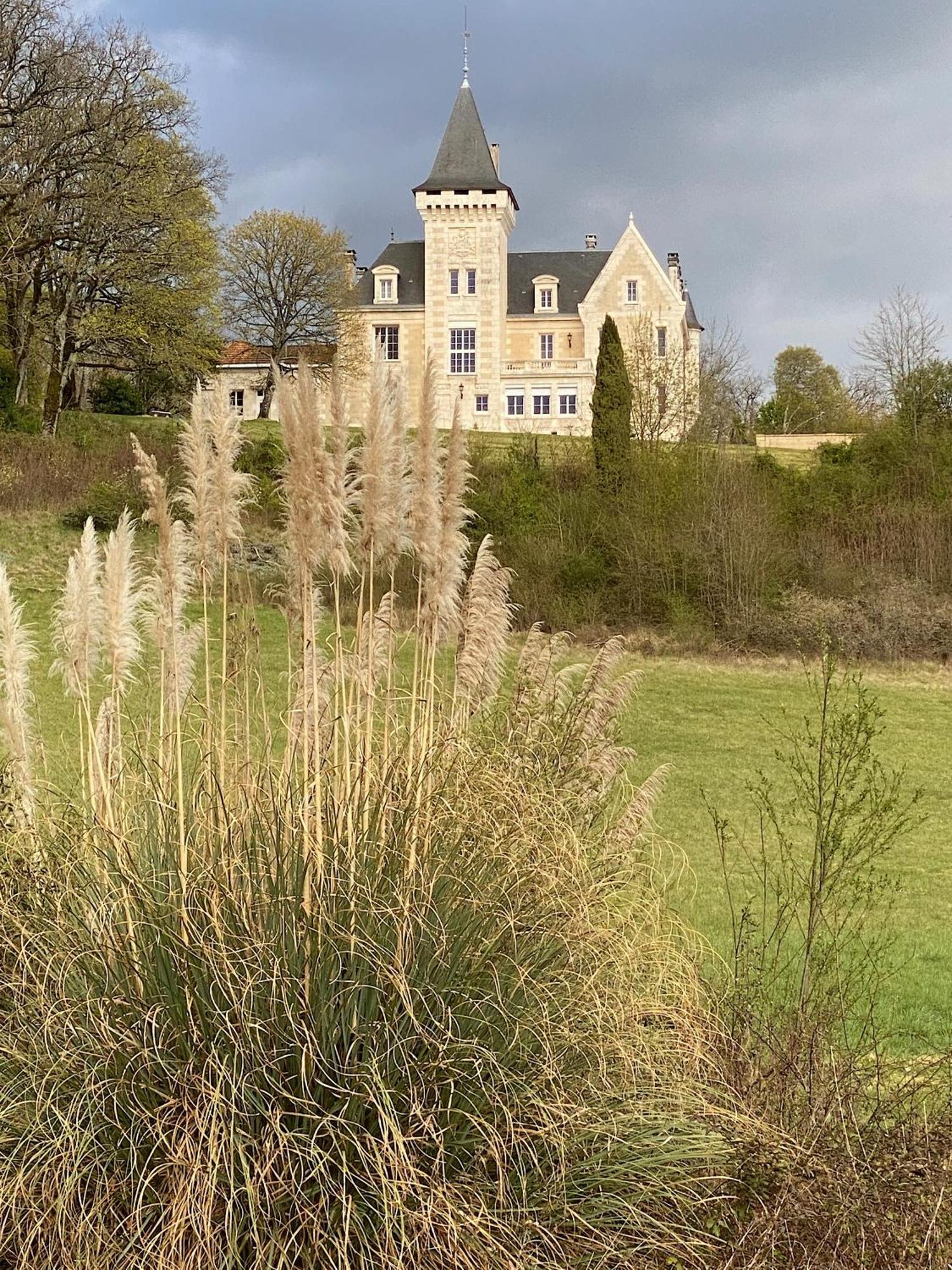 Chateau De Bellevue B&B Et Appartements Avec Piscine Saisonal Chauffee Et Chambres Partout Climatisees Saint-Avit  外观 照片